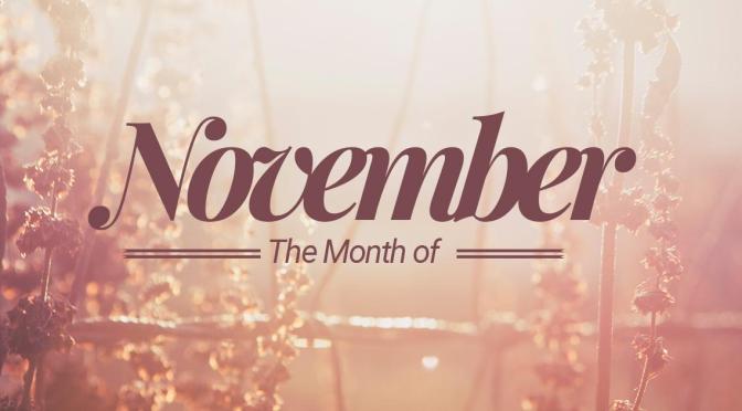 November 2017 | Monthly Wrap Up